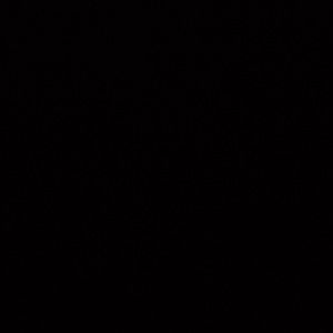 Meet your Posher, Irasema